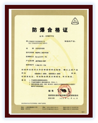 NEPSI Flameproof RTD Certificate